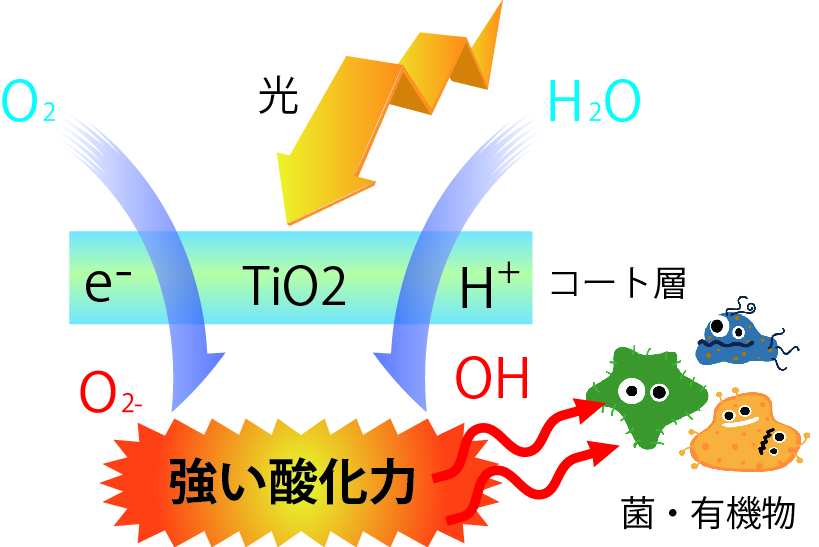 この画像には alt 属性が指定されておらず、ファイル名は tio2.jpg です